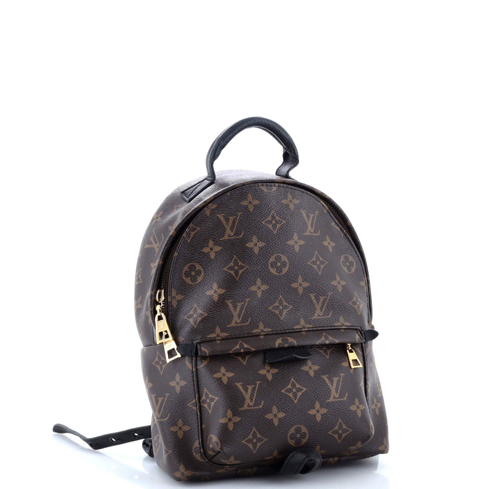 Louis Vuitton Palm Springs Backpack Monogram Canvas PM
