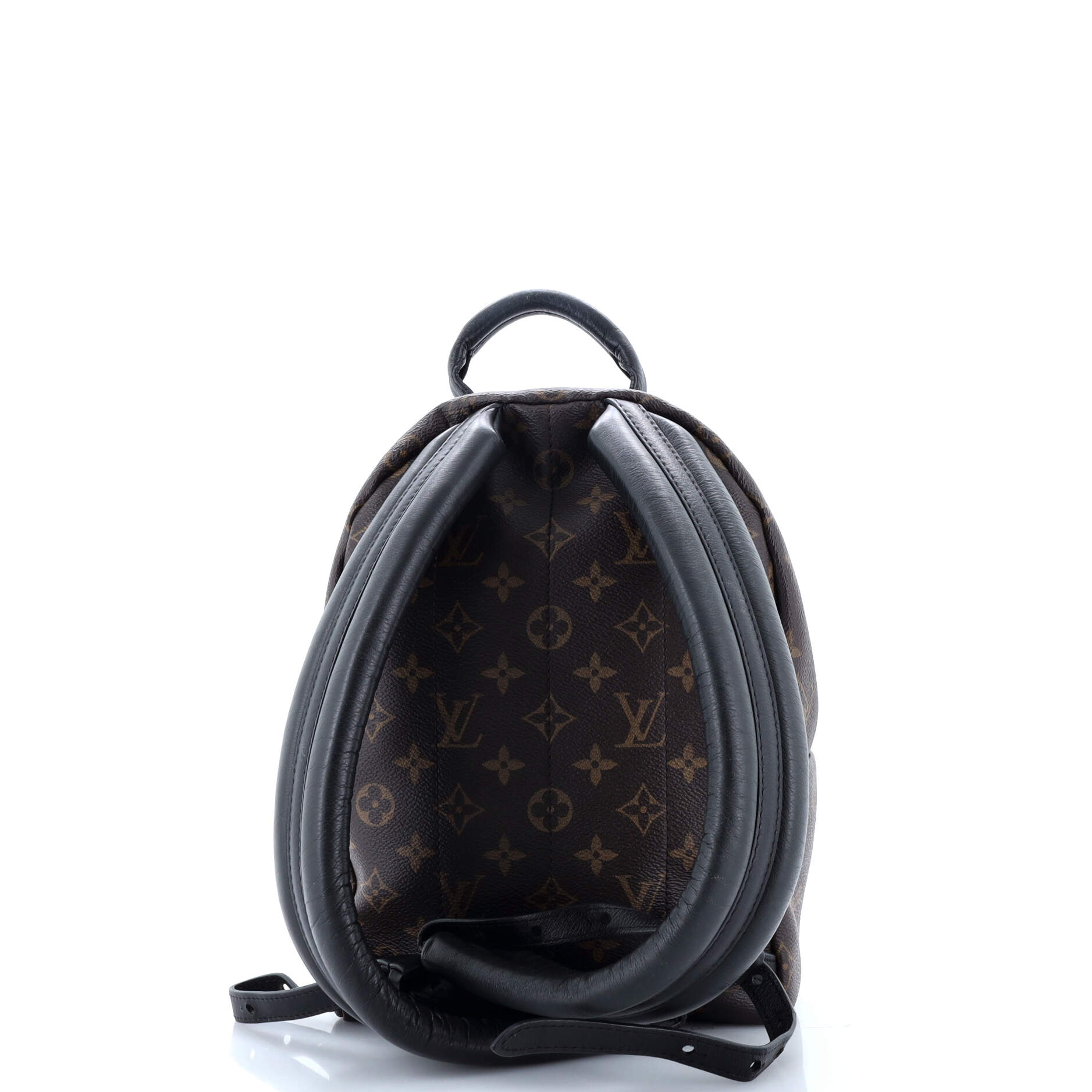 Louis Vuitton Palm Springs Backpack Monogram Canvas PM
