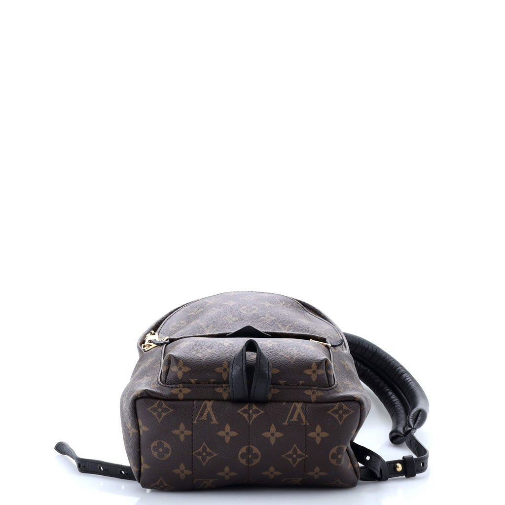 Louis Vuitton Palm Springs Backpack Monogram Canvas PM