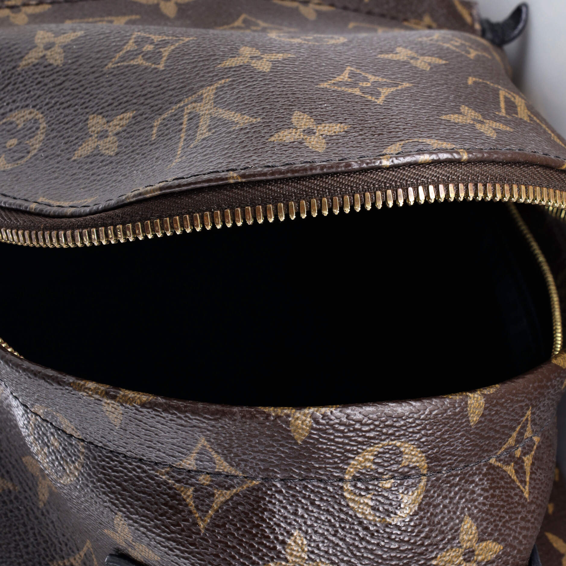 Louis Vuitton Palm Springs Backpack Monogram Canvas PM
