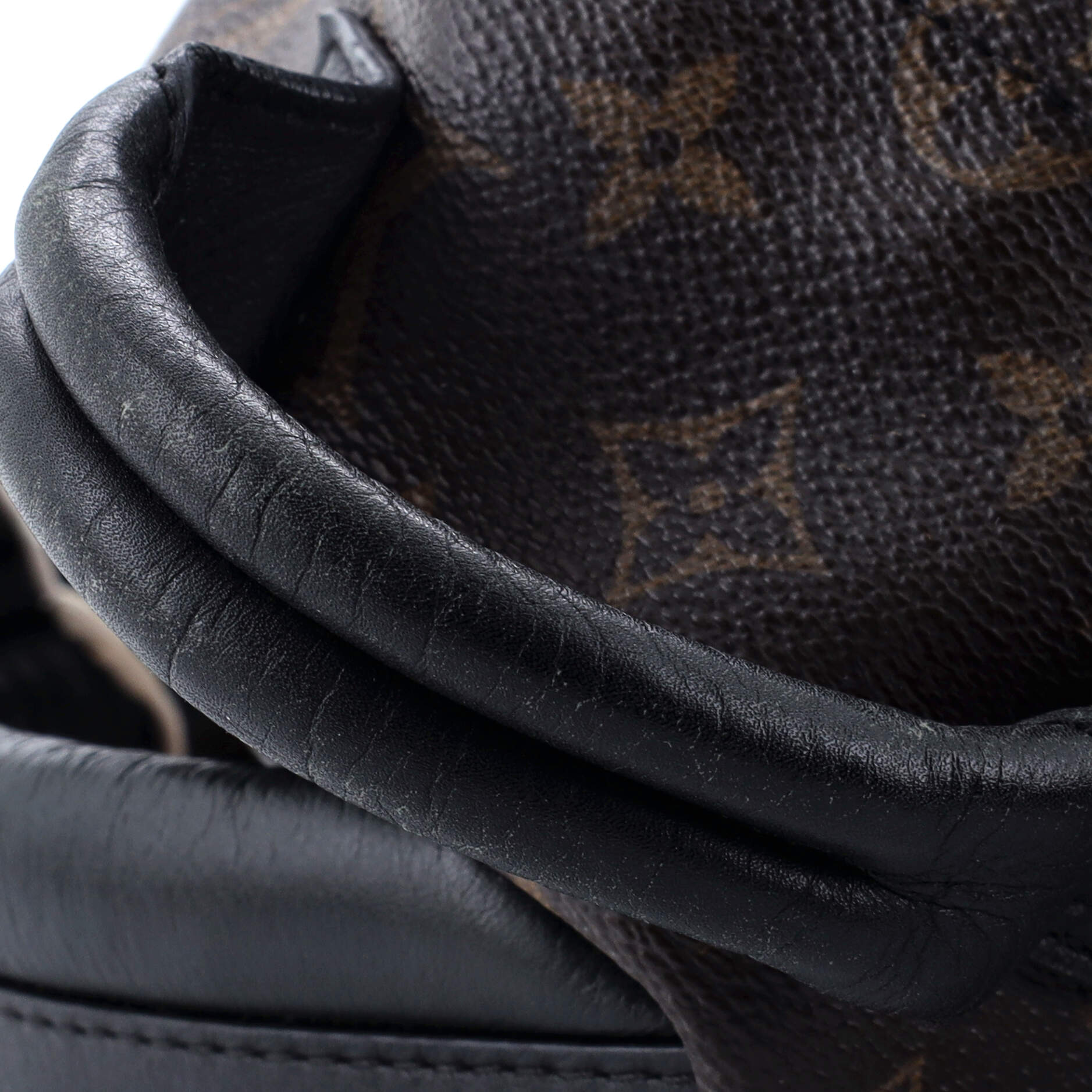 Louis Vuitton Palm Springs Backpack Monogram Canvas PM