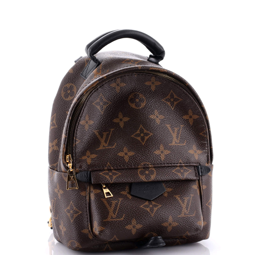 Palm Springs Backpack Monogram Canvas Mini