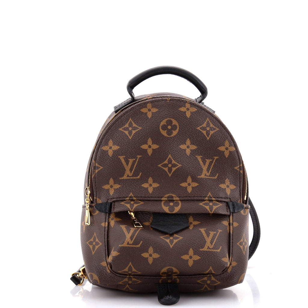 Louis Vuitton Palm Springs Backpack Monogram Canvas Mini