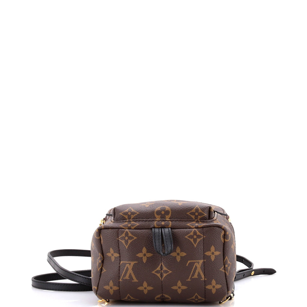 Louis Vuitton Palm Springs Backpack Monogram Canvas Mini