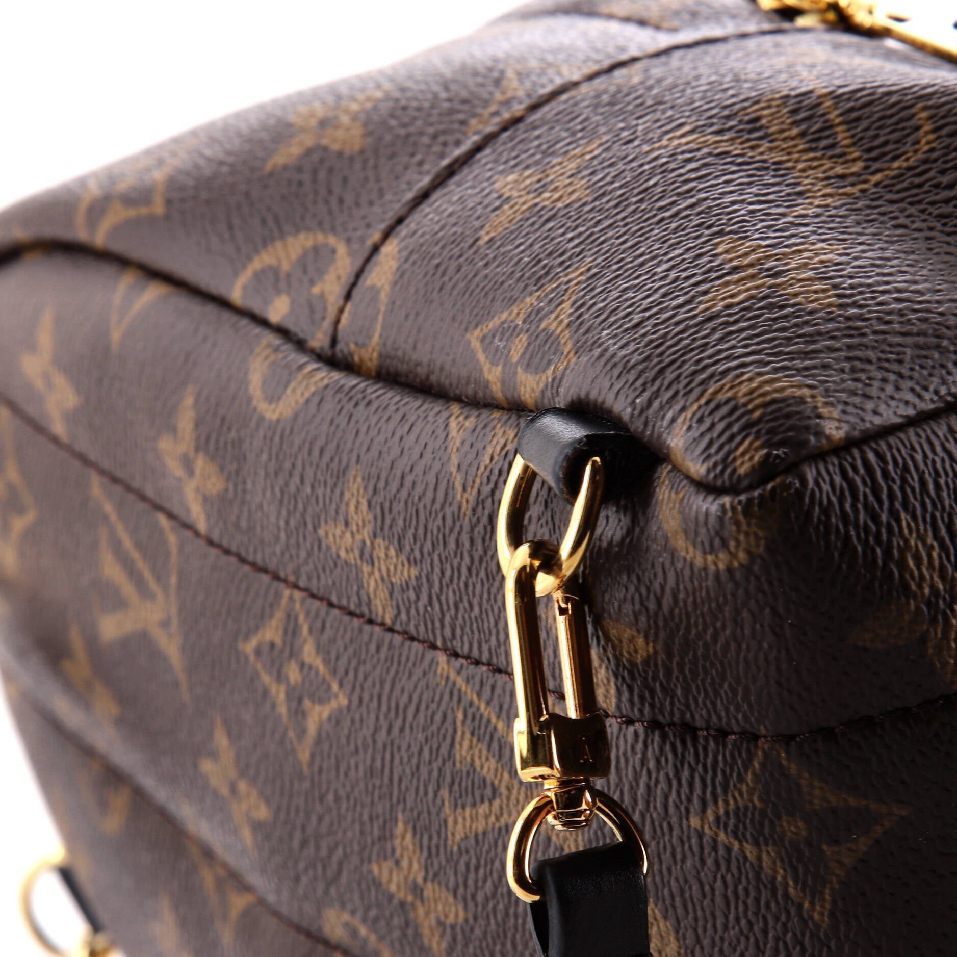 Louis Vuitton Palm Springs Backpack Monogram Canvas Mini
