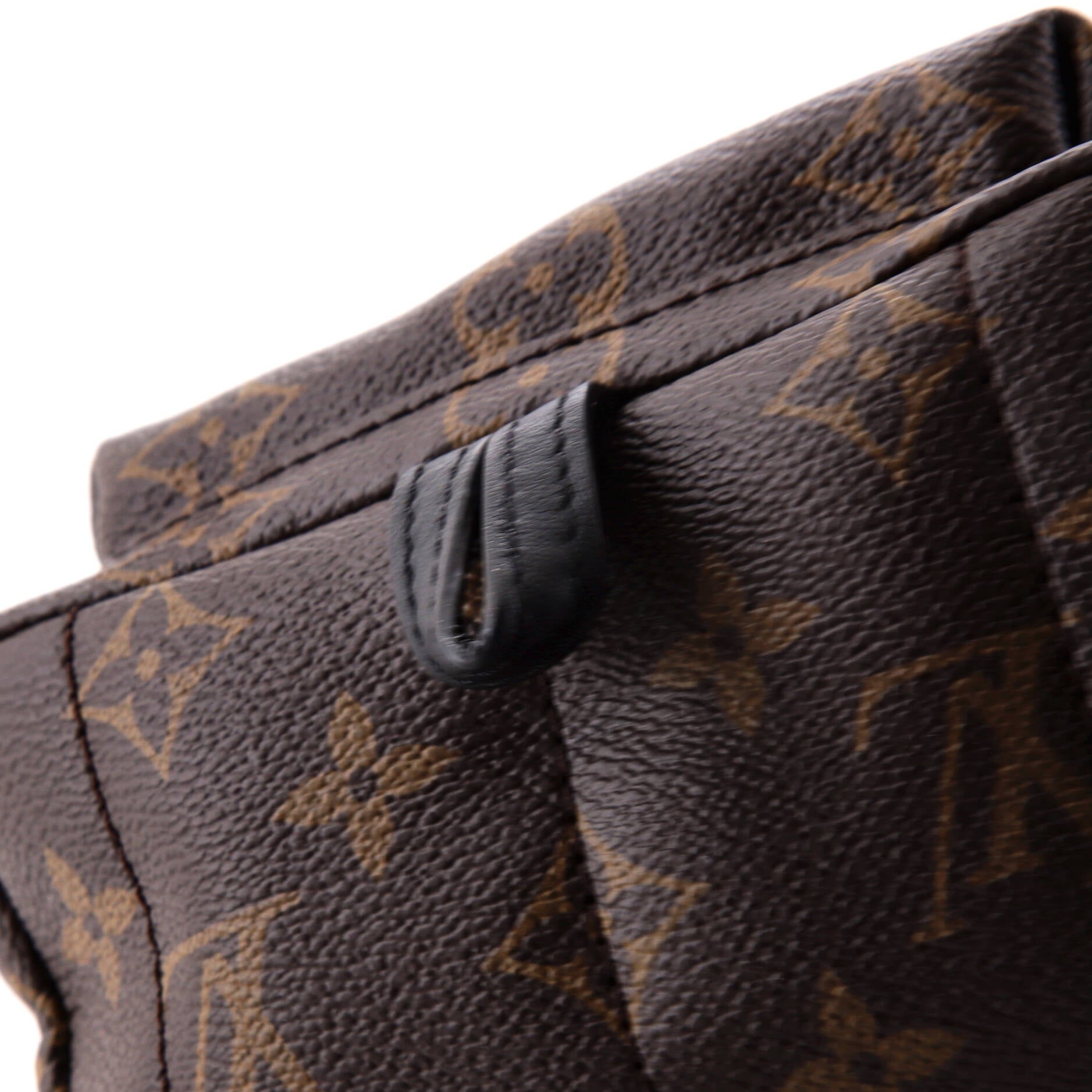 Louis Vuitton Palm Springs Backpack Monogram Canvas Mini