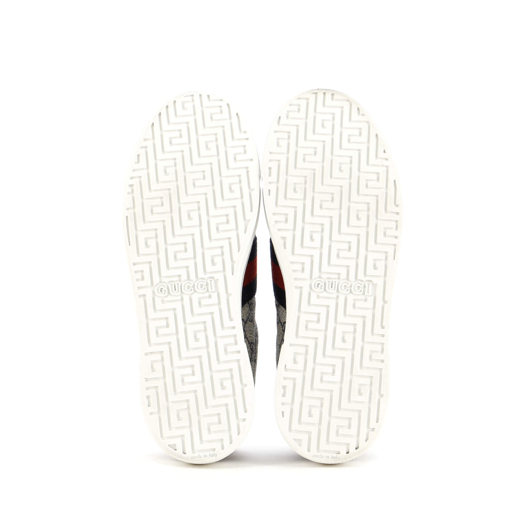 Ace Sneakers GG Coated Canvas