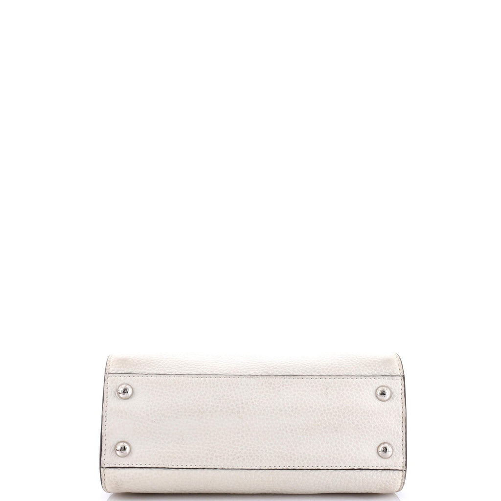 Selleria Peekaboo Bag Leather with Python Mini