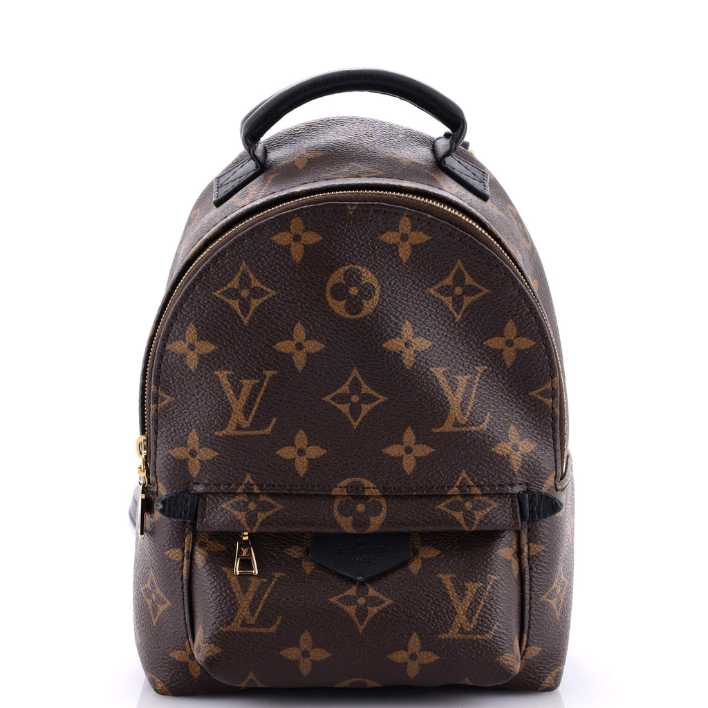 Louis Vuitton Palm Springs Backpack Monogram Canvas Mini