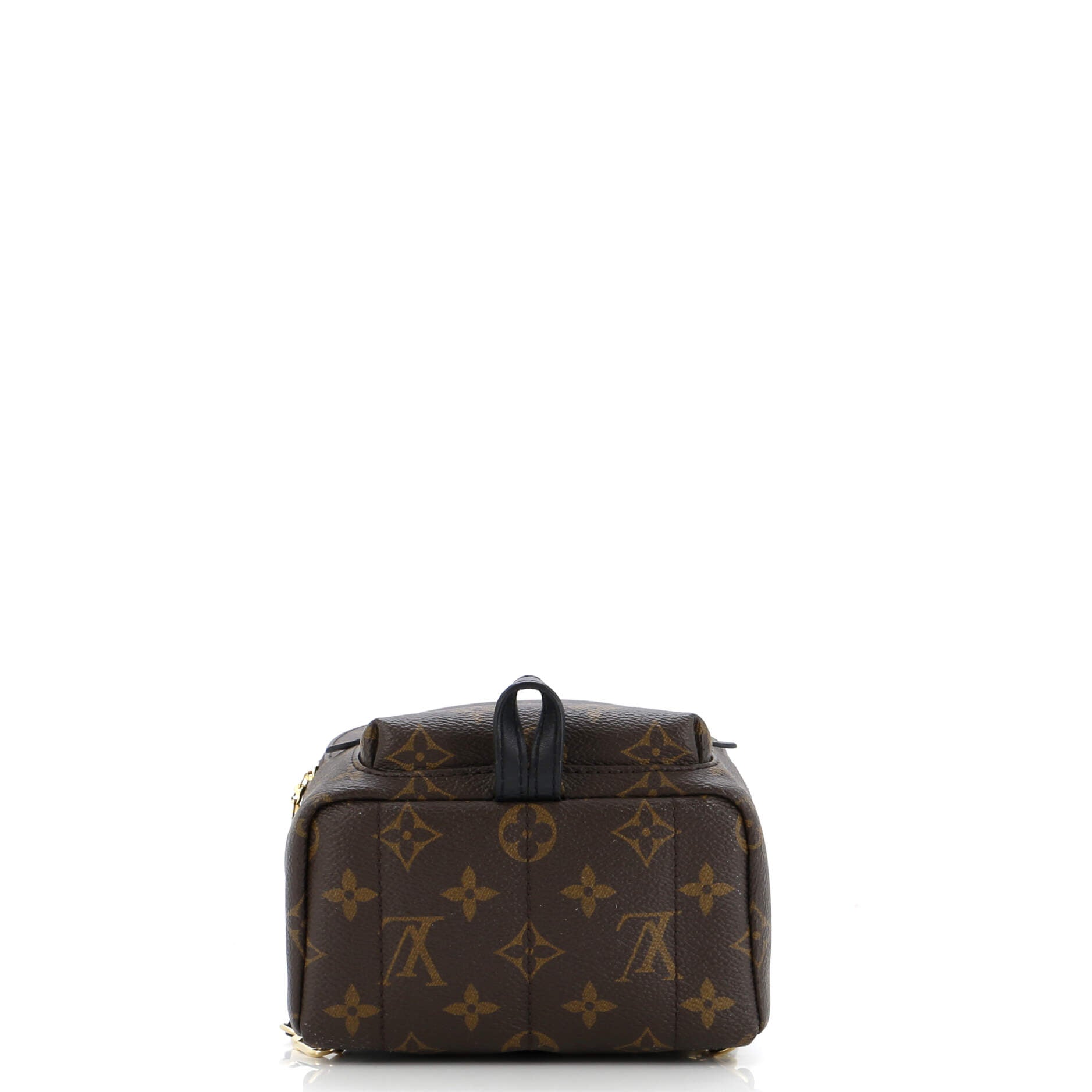 Louis Vuitton Palm Springs Backpack Monogram Canvas Mini