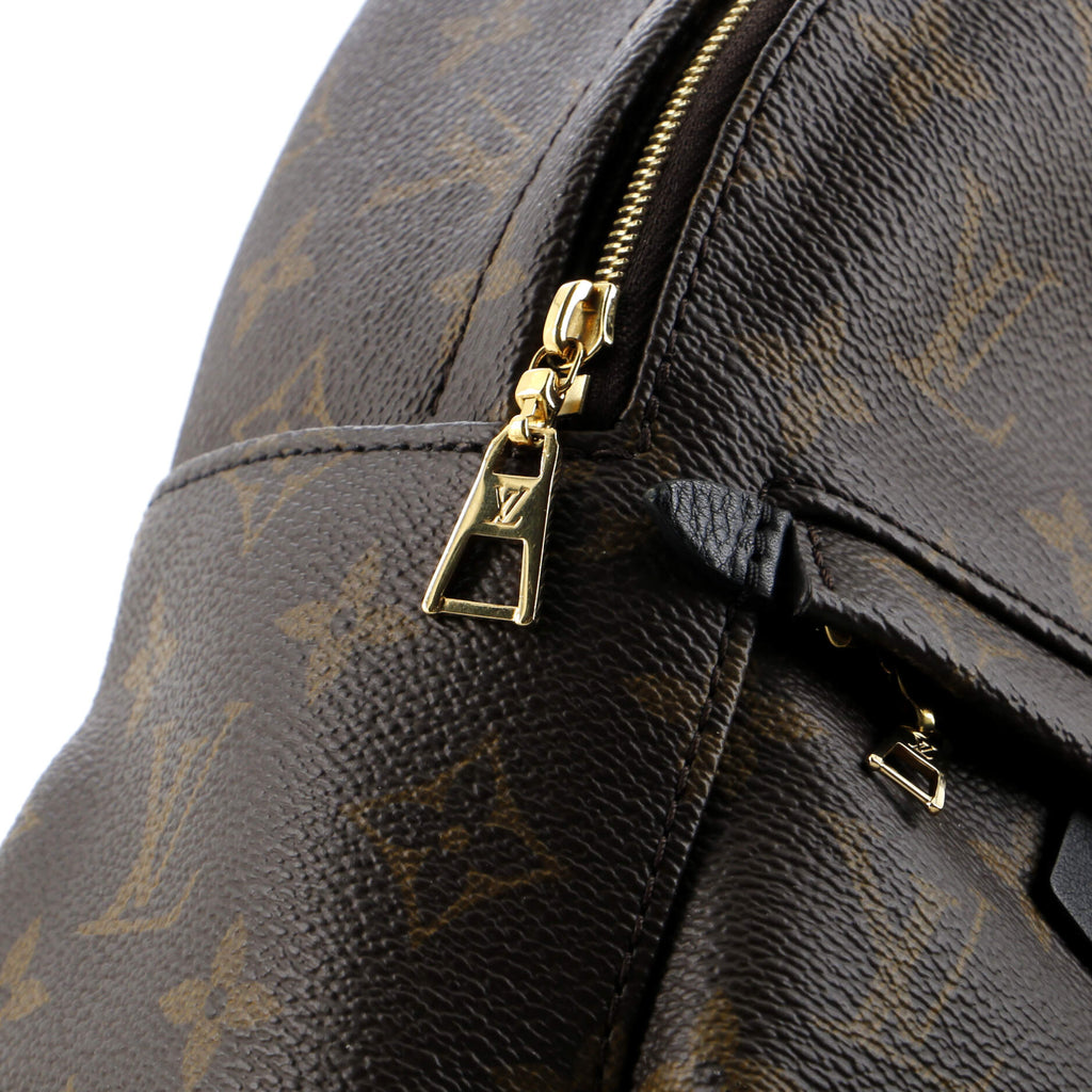 Louis Vuitton Palm Springs Backpack Monogram Canvas Mini