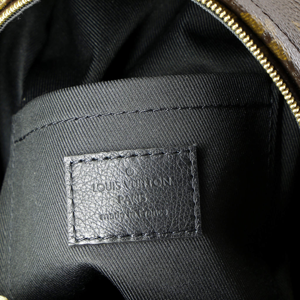 Louis Vuitton Palm Springs Backpack Monogram Canvas Mini