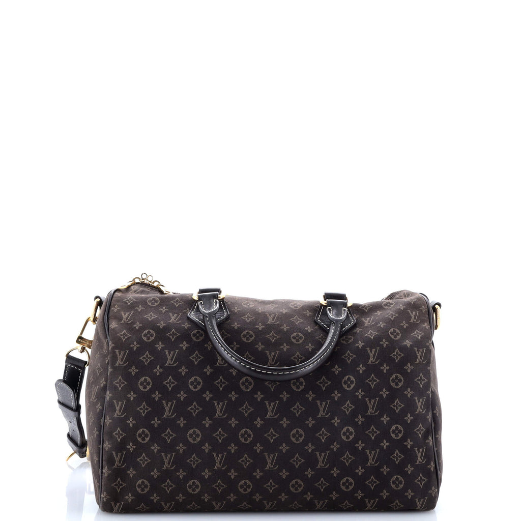 Speedy Bandouliere Bag Mini Lin 30