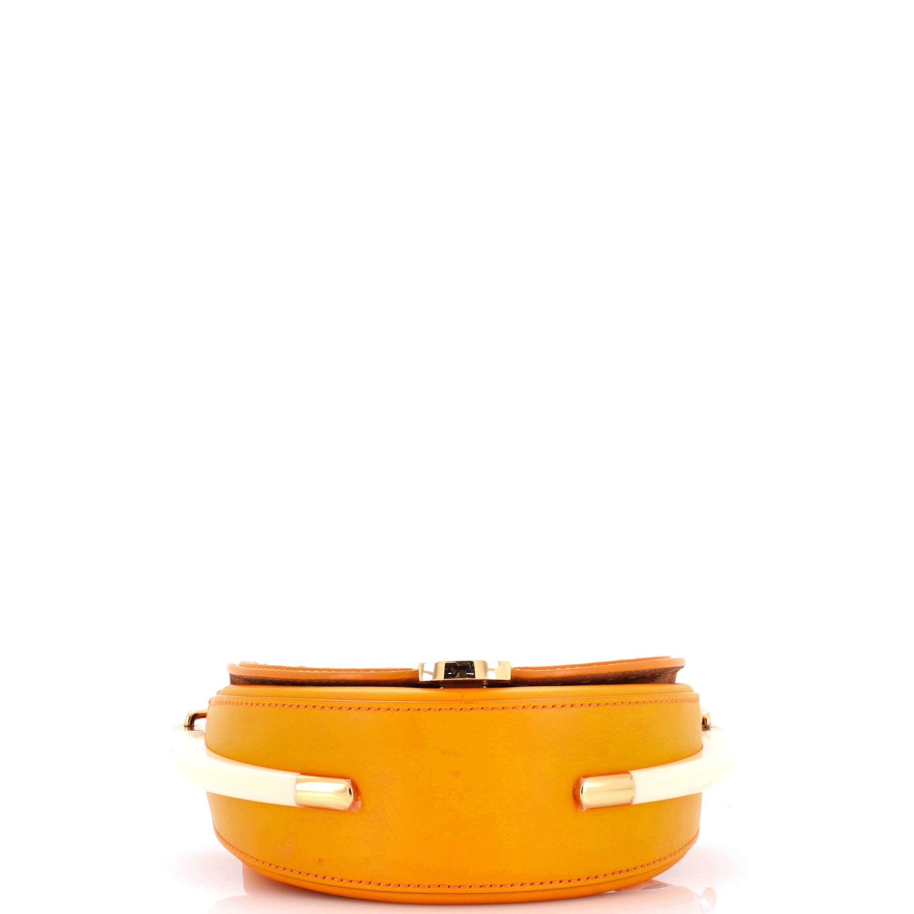 Moonlight Flap Bag Leather with Plexiglass Detail