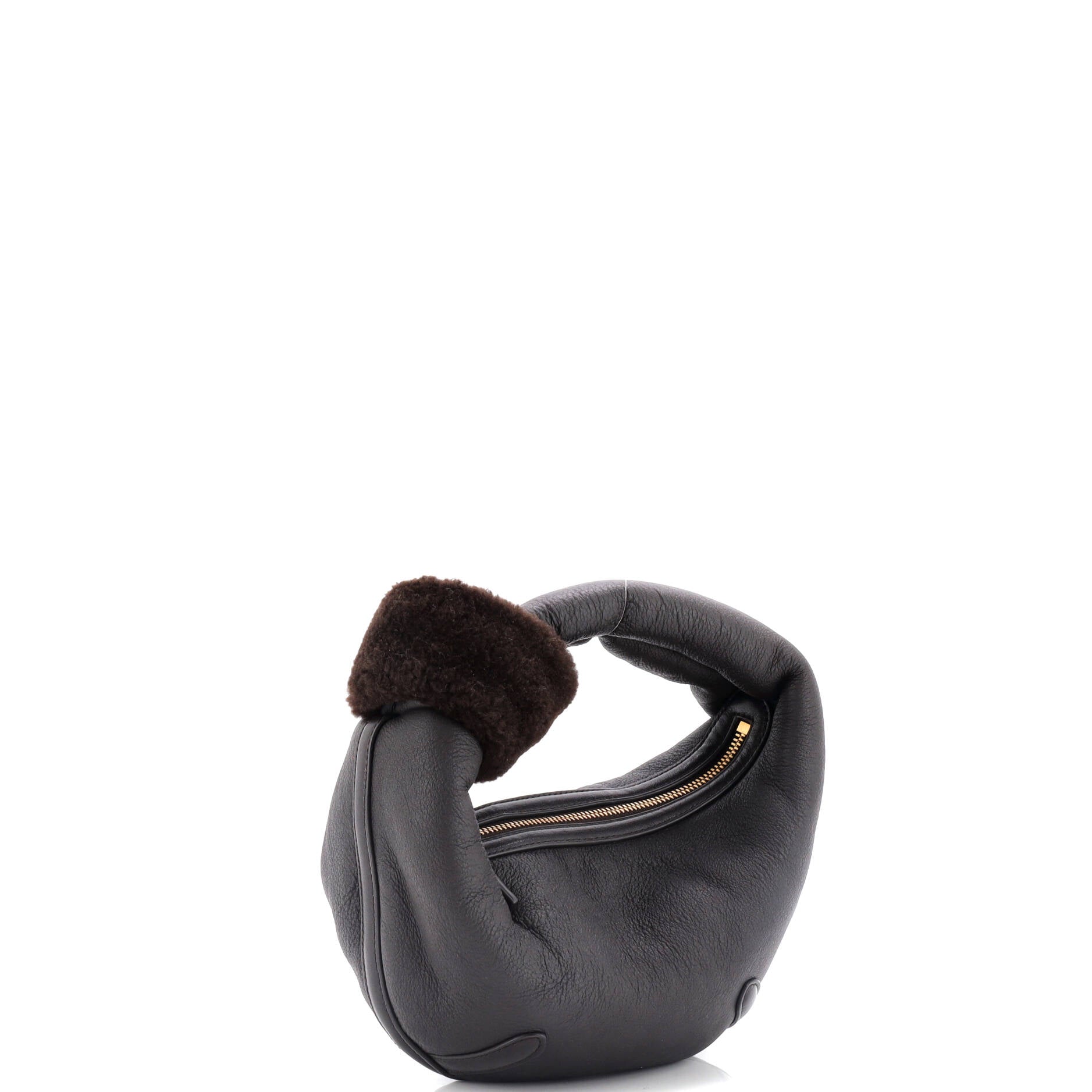 Aviator Jodie Hobo Leather with Shearling Mini