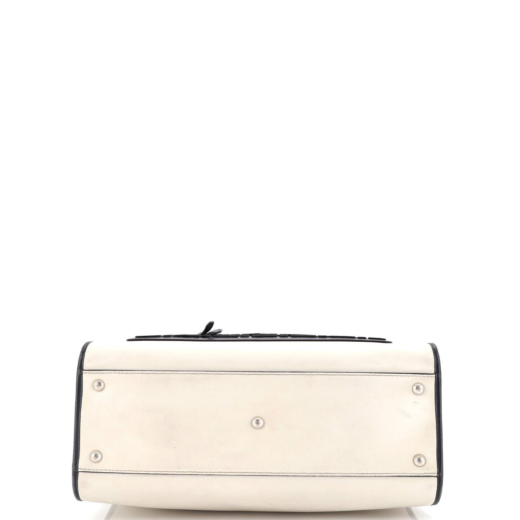 Runaway Bag Leather and Zucca Velvet Small