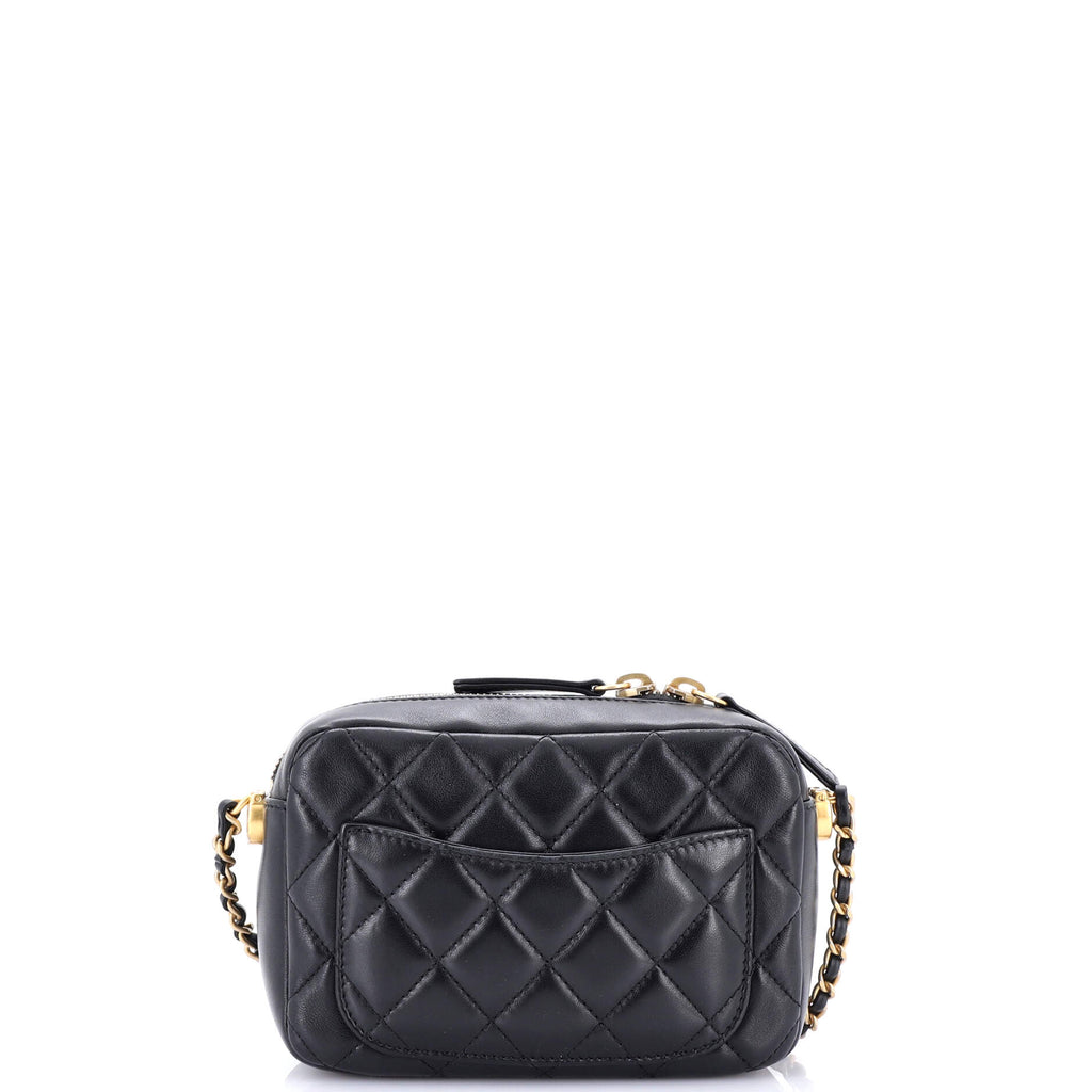 Pearl Crush Zip Around Vanity Case with Chain Quilted Lambskin Mini