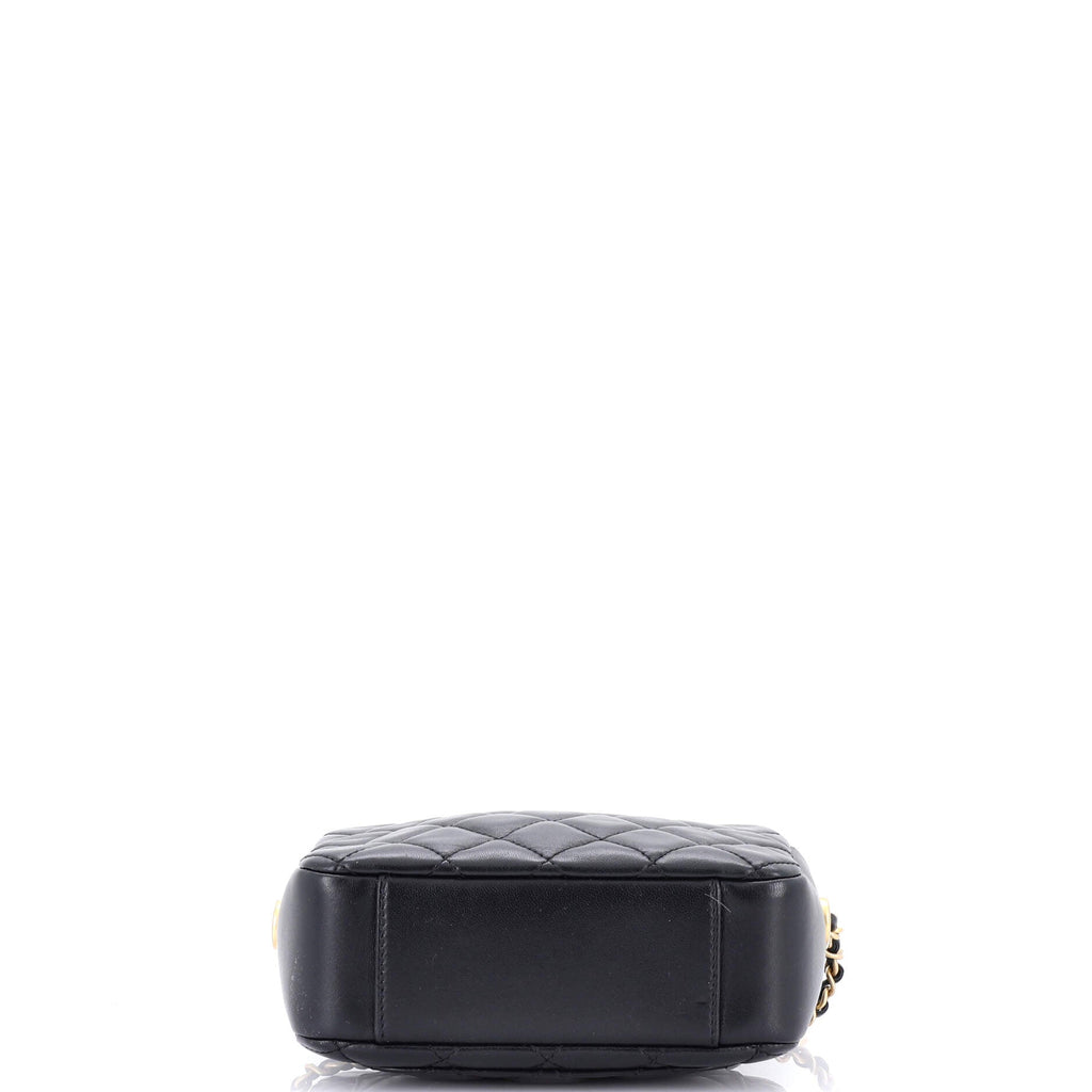 Pearl Crush Zip Around Vanity Case with Chain Quilted Lambskin Mini