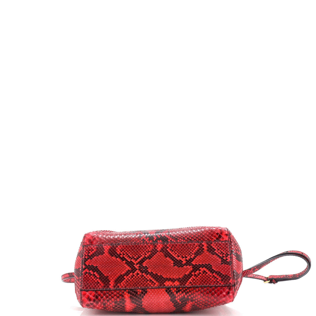 Peekaboo Bag Python Mini