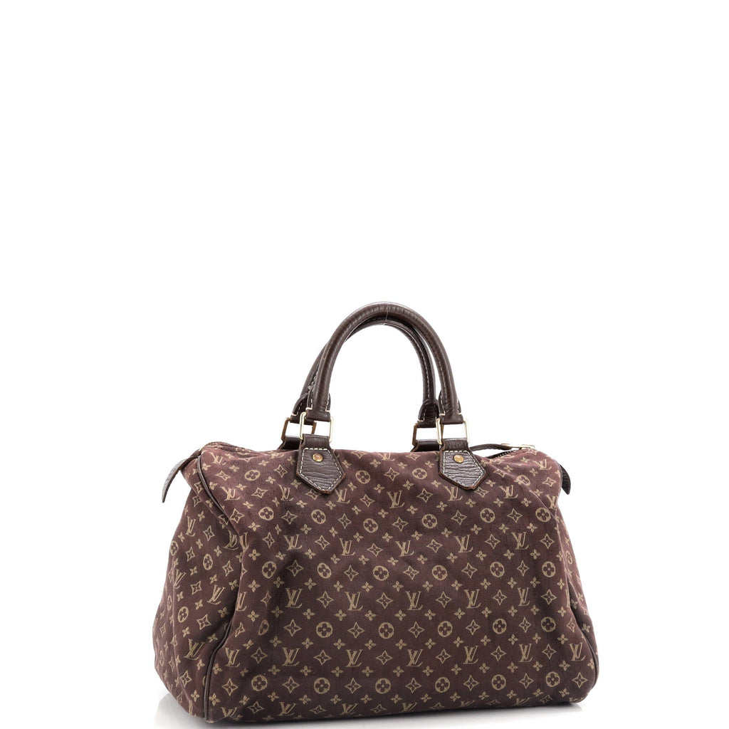 Speedy Handbag Mini Lin 30