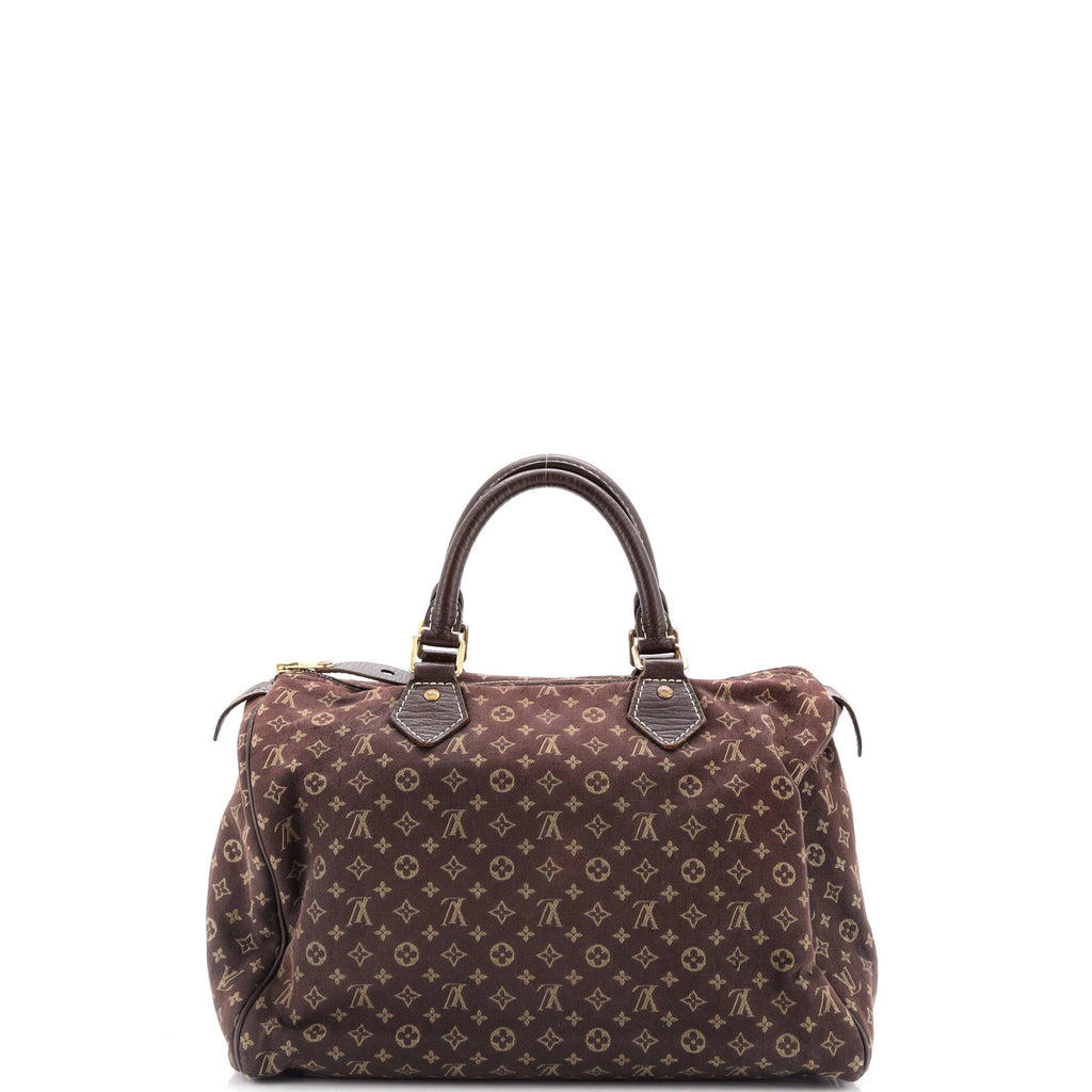 Speedy Handbag Mini Lin 30