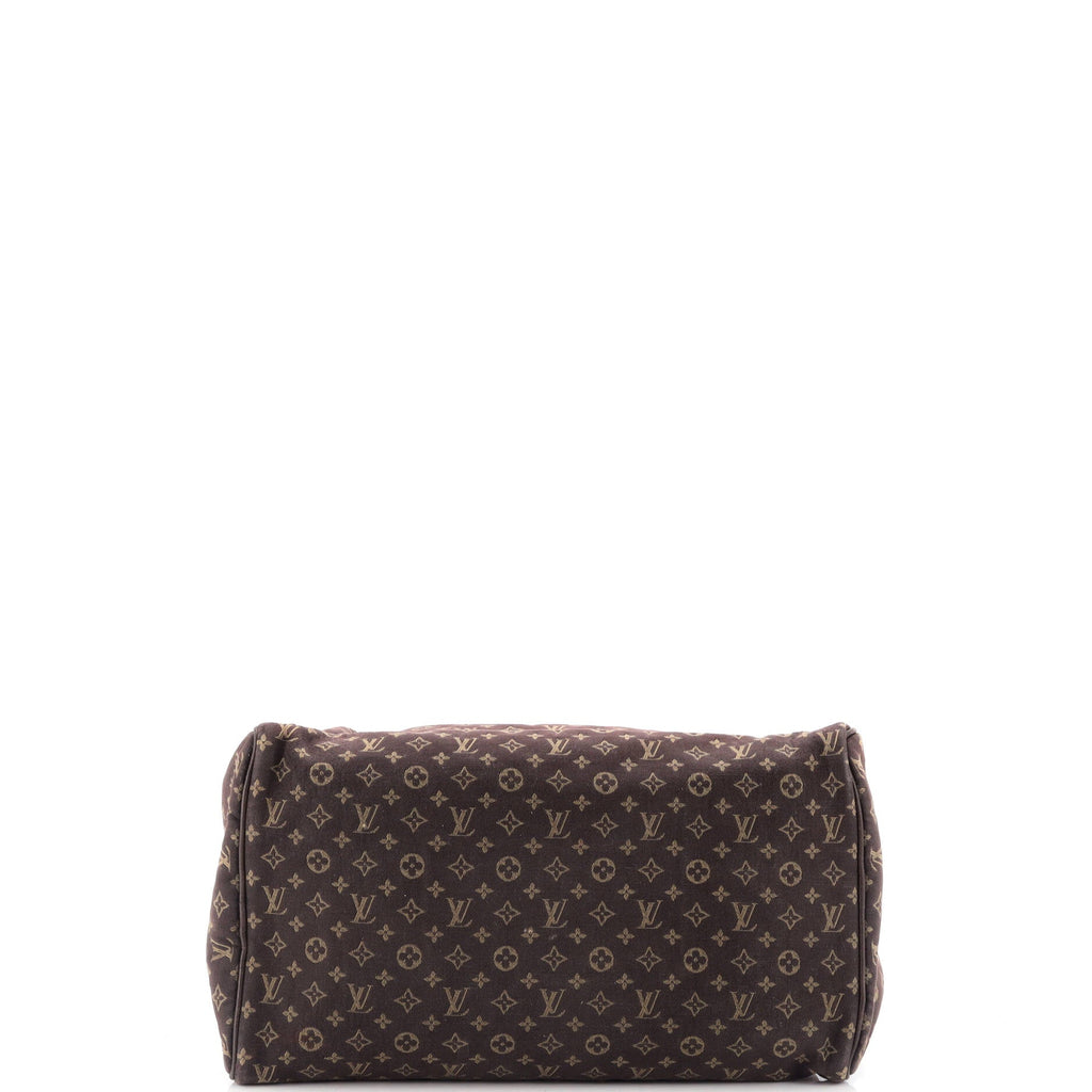 Speedy Handbag Mini Lin 30