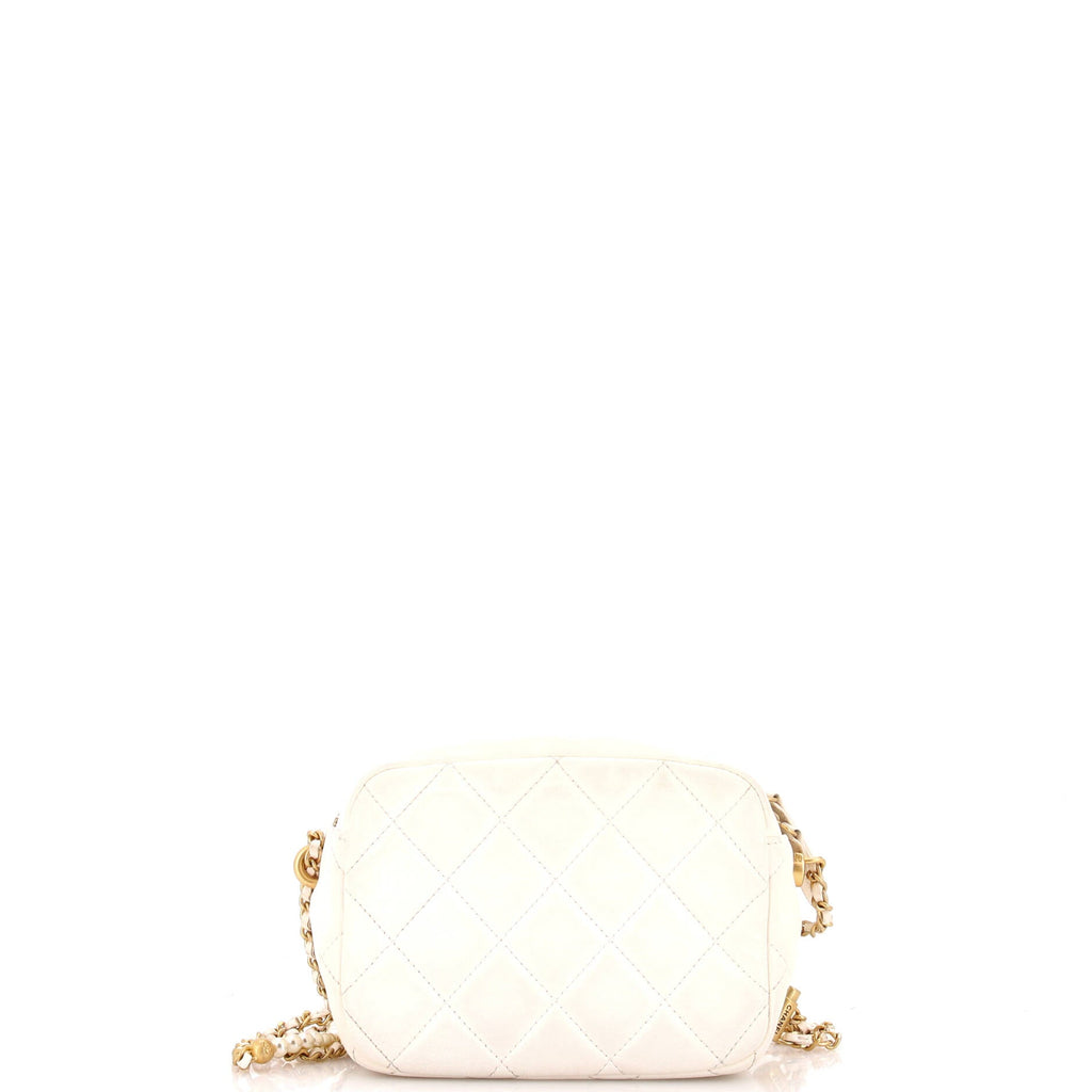 My Perfect Adjustable Chain Camera Bag Quilted Lambskin with Pearls Small