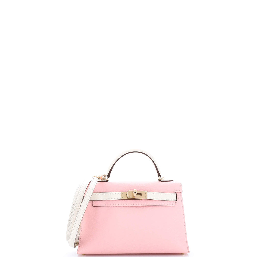 Kelly Mini II Bag Bicolor Chevre Mysore with Permabrass Hardware 20