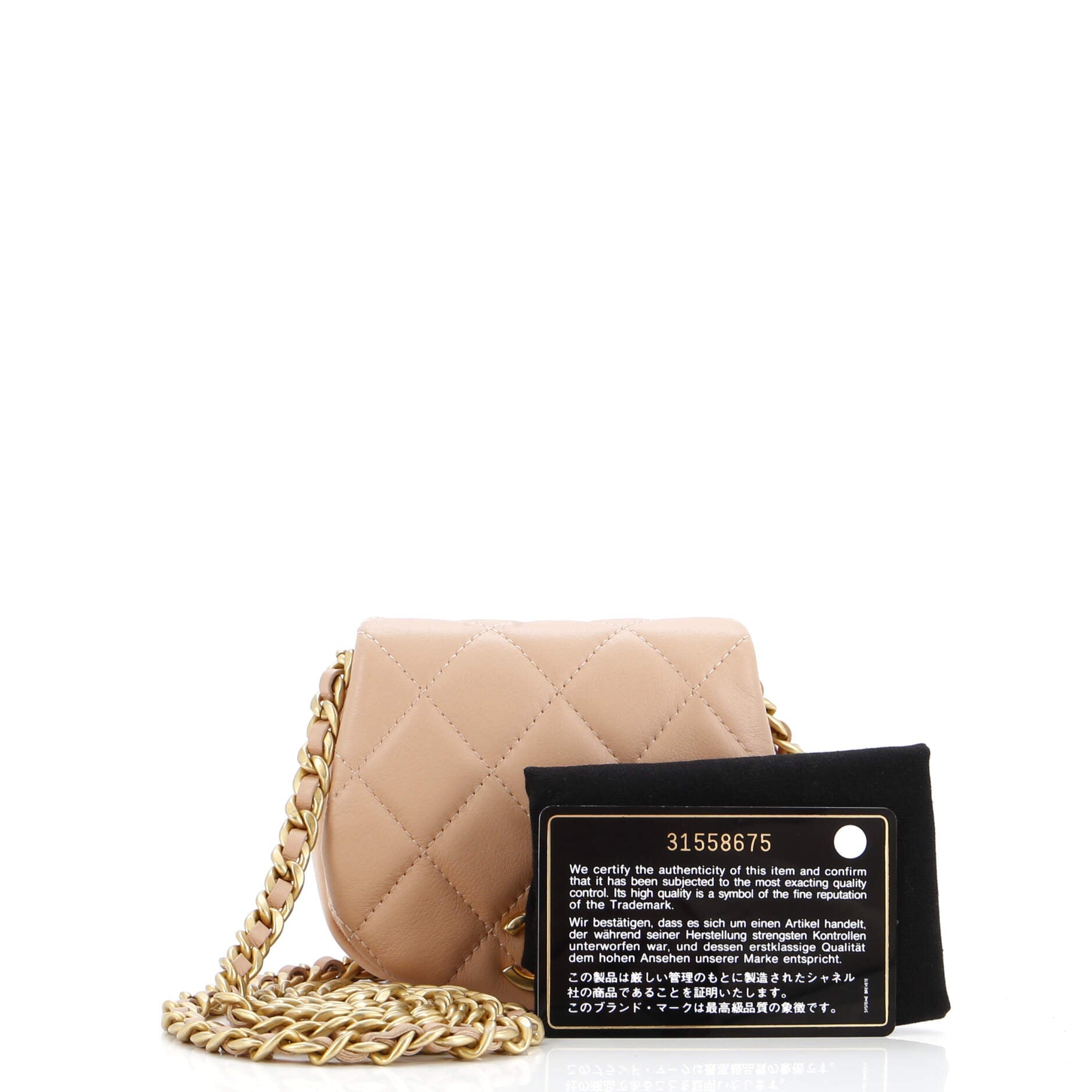 Coco Mail Clutch with Chain Quilted Calfskin Mini