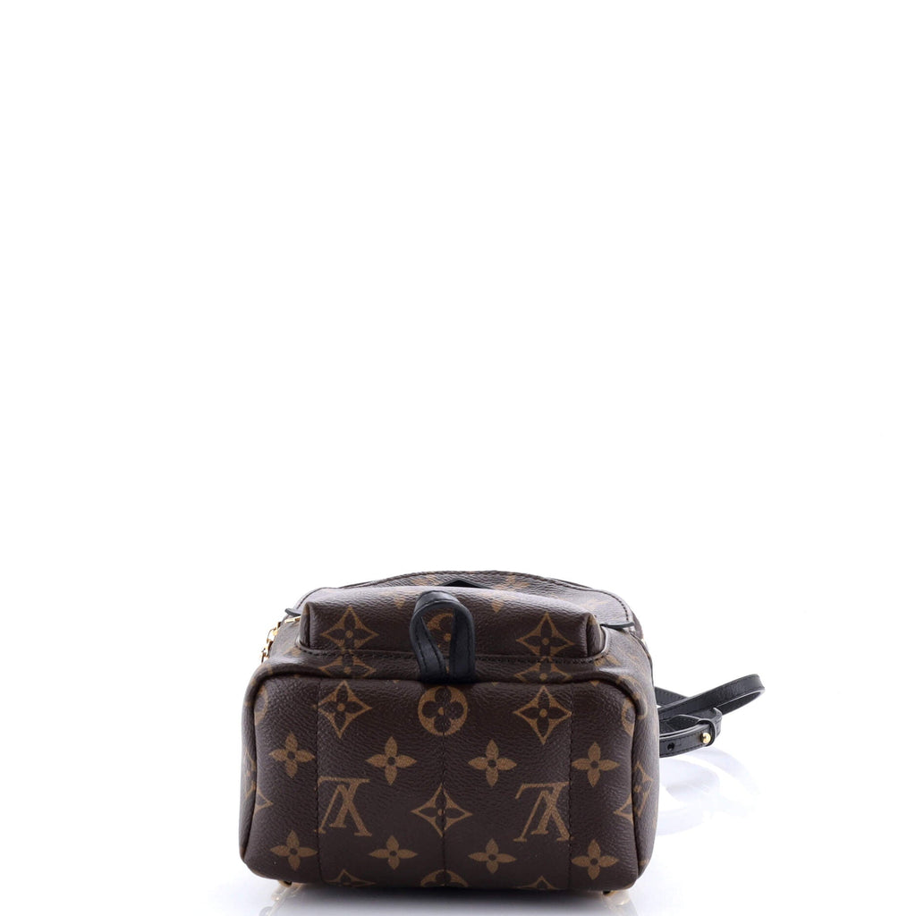 Palm Springs Backpack Monogram Canvas Mini