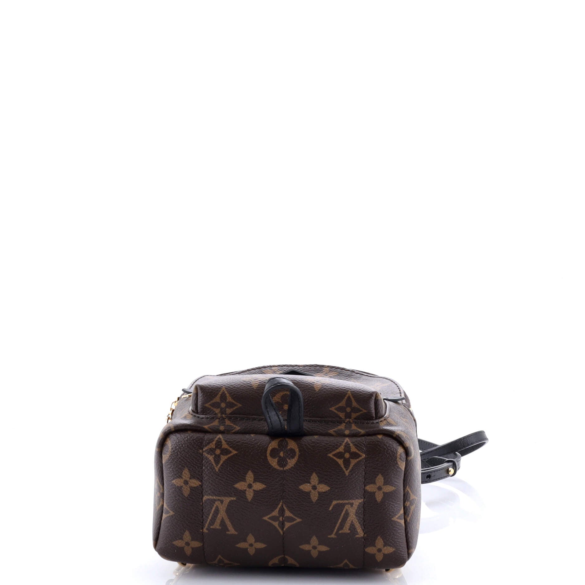 Palm Springs Backpack Monogram Canvas Mini