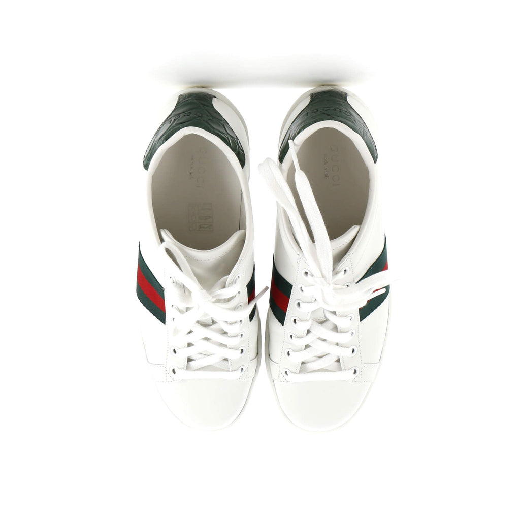 Women's Ace Web Platform Sneakers Leather