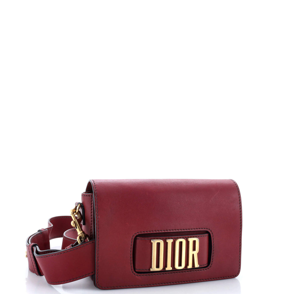 Dio(r)evolution Flap Bag Leather Medium