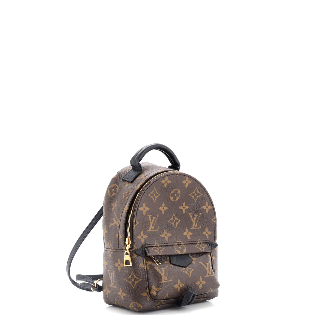 Palm Springs Backpack Monogram Canvas Mini