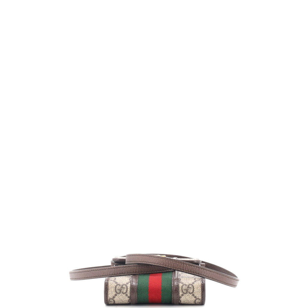 Ophidia Vertical Flap Crossbody Bag GG Coated Canvas Mini