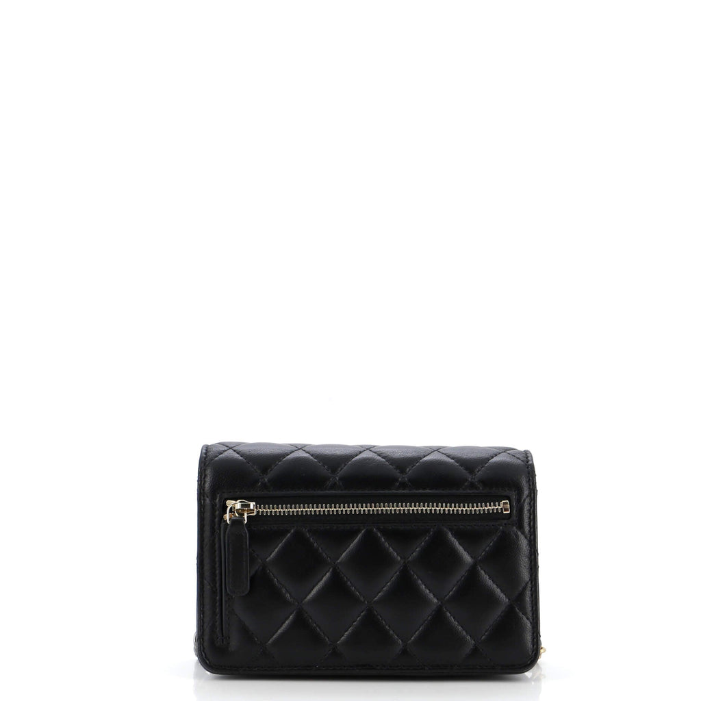 Coco Clips Wallet on Chain Embellished Quilted Lambskin Mini