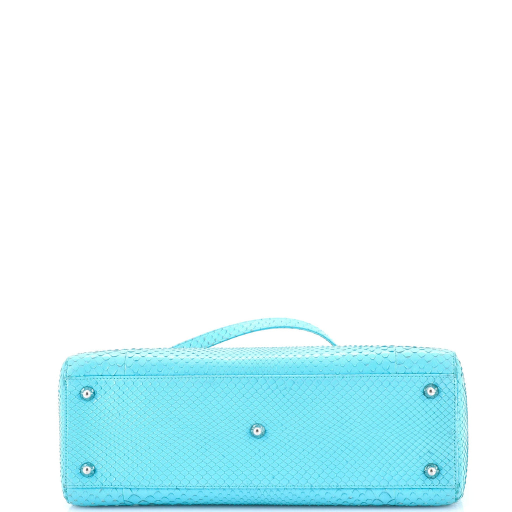 Lady Dior Bag Python Large
