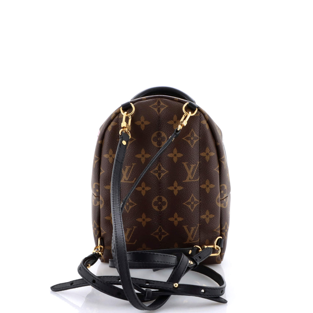 Palm Springs Backpack Limited Edition World Tour Monogram Canvas Mini