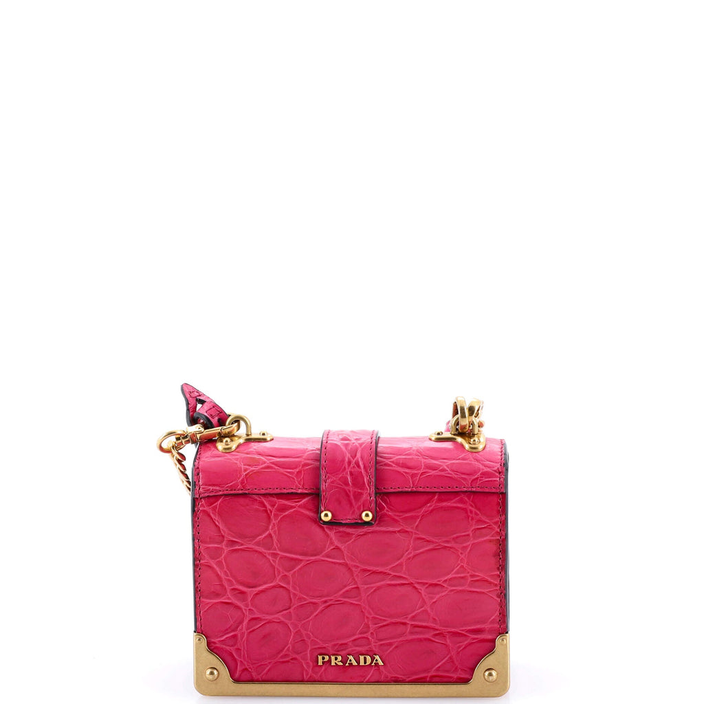 Cahier Chain Crossbody Bag Crocodile Micro