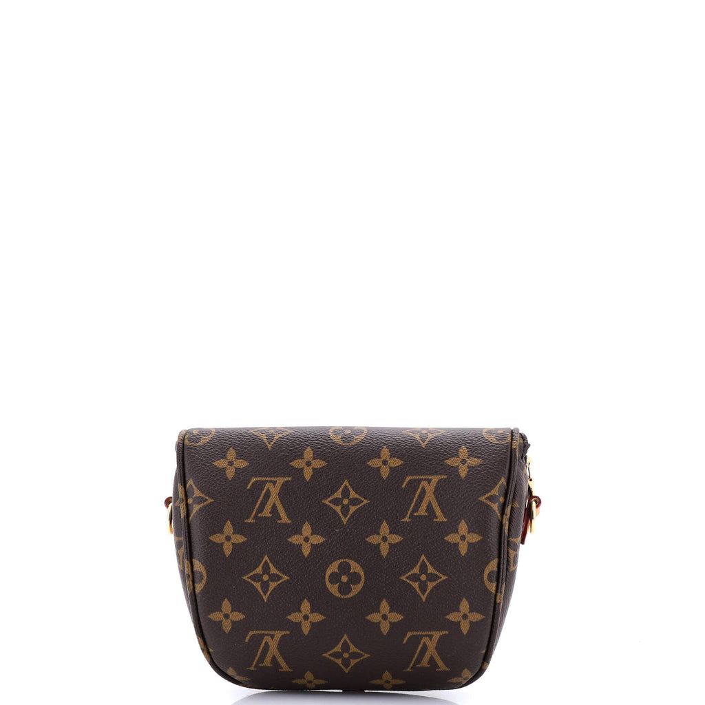 Bum Bag Monogram Canvas Mini
