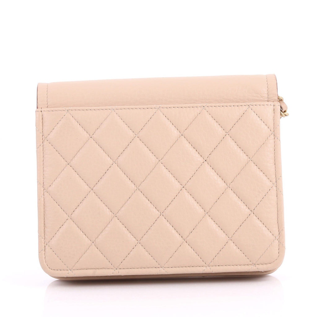 Archi Chic Wallet on Chain Grained Calfskin Mini