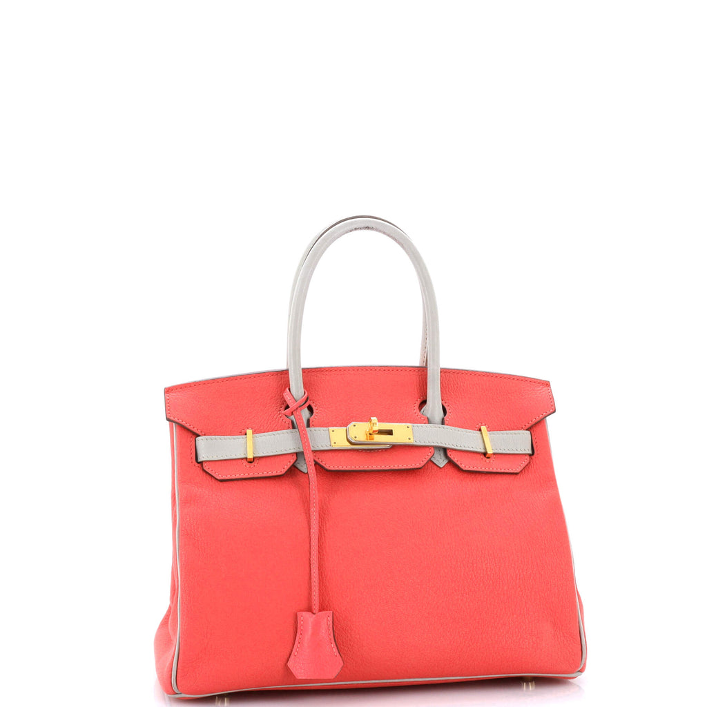 Birkin Handbag Bicolor Chevre Mysore with Gold Hardware 30