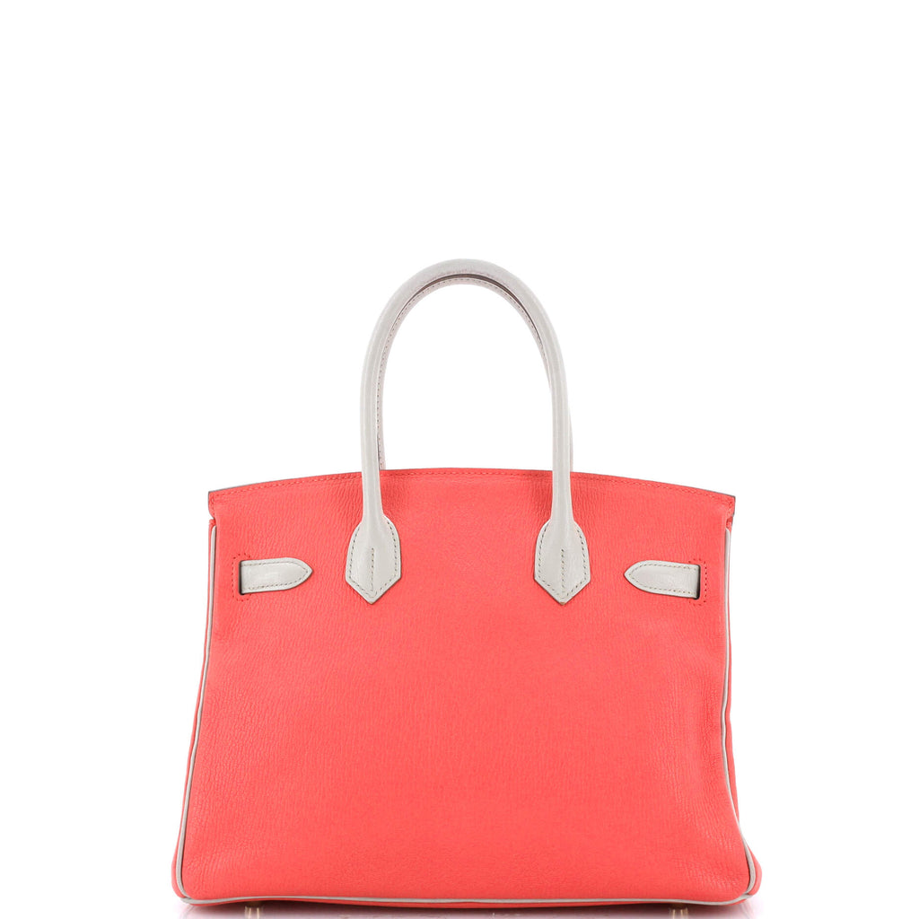Birkin Handbag Bicolor Chevre Mysore with Gold Hardware 30