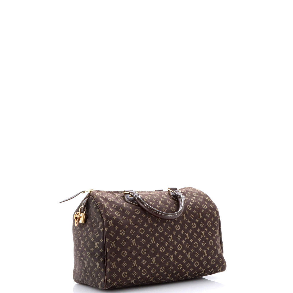 Speedy Handbag Mini Lin 30