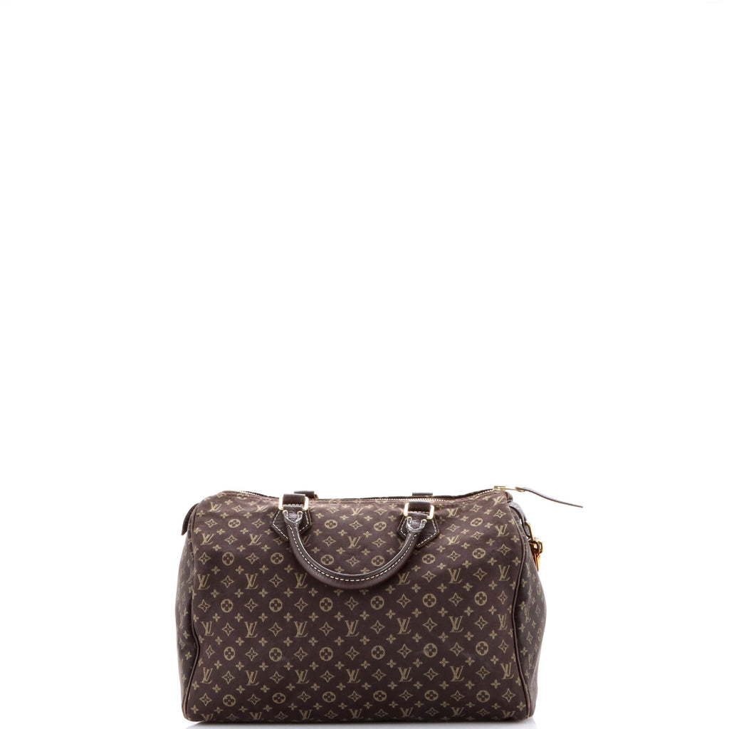 Speedy Handbag Mini Lin 30