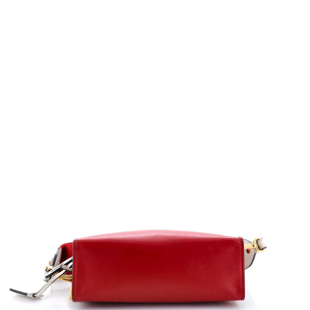 Esplanade Crossbody Bag Printed Saffiano and City Calf Small