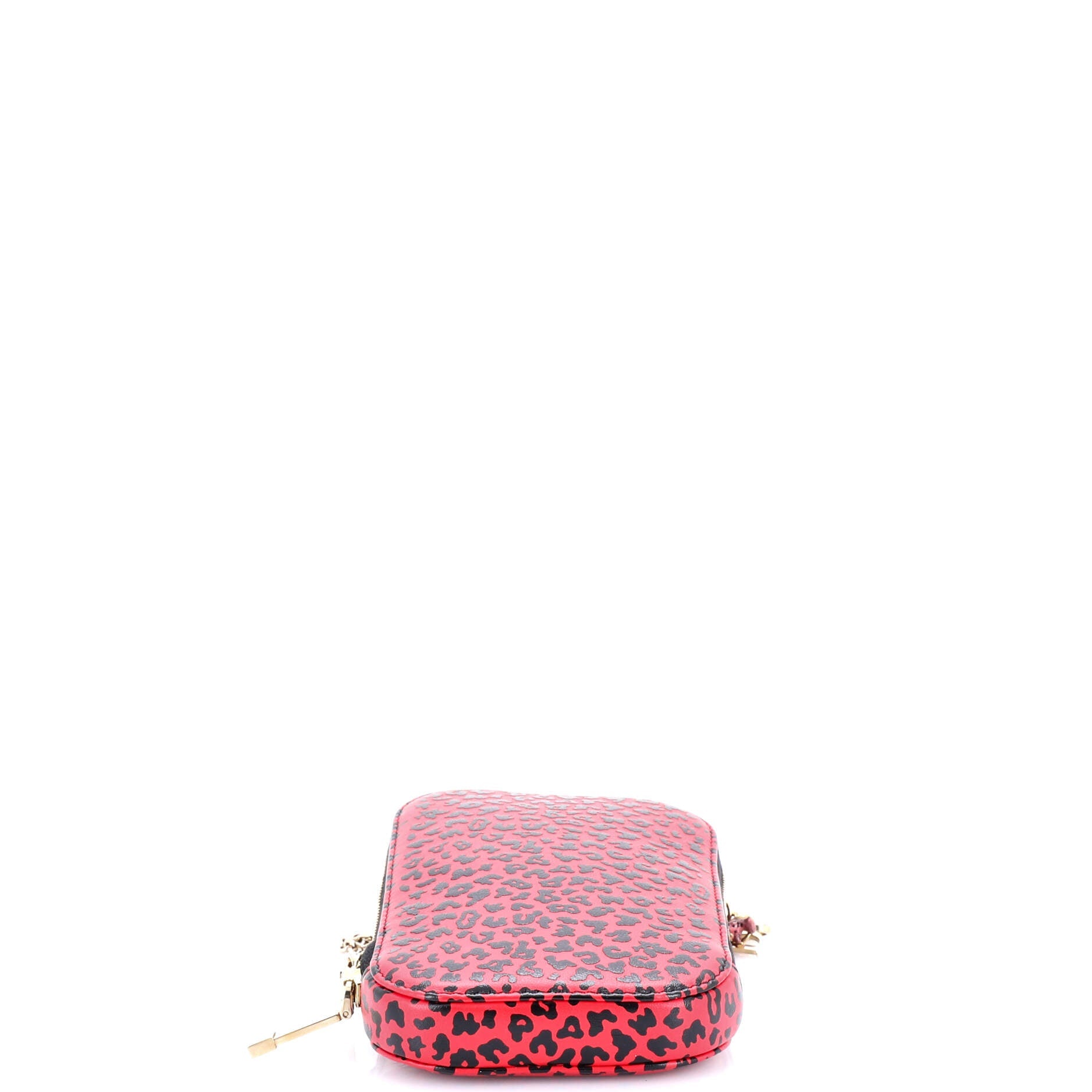 Lady Dior Phone Holder on Chain Printed Leather