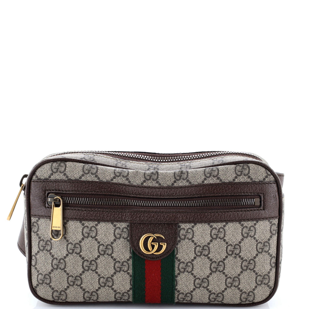 Ophidia Belt Bag GG Coated Canvas Medium