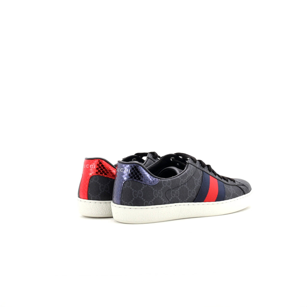 Ace Sneakers GG Coated Canvas