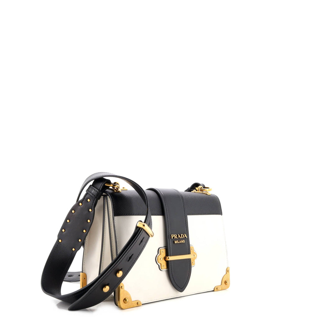 Cahier Crossbody Bag Leather and Saffiano Leather Large